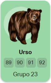 Urso - Grupo 23 do Jogo do Bicho