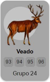Veado - Grupo 24 do Jogo do Bicho
